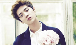 鹿晗女友爆料后续视频播放,揭秘恋情细节与幕后真相